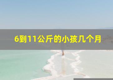 6到11公斤的小孩几个月