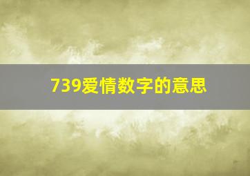 739爱情数字的意思