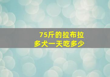 75斤的拉布拉多犬一天吃多少