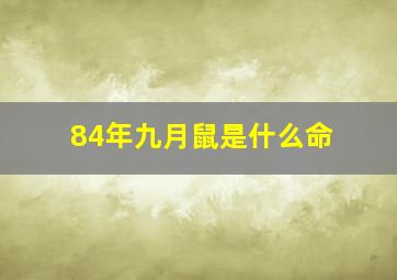 84年九月鼠是什么命