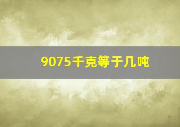 9075千克等于几吨