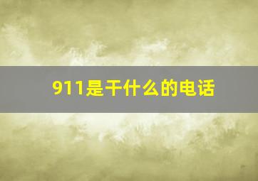 911是干什么的电话