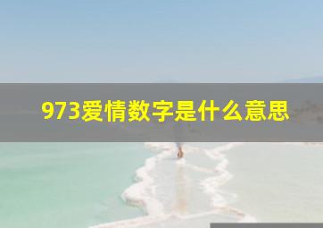 973爱情数字是什么意思