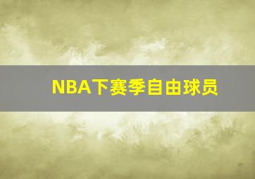 NBA下赛季自由球员