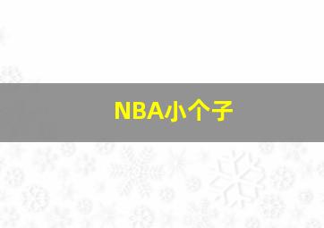 NBA小个子