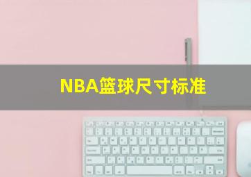 NBA篮球尺寸标准