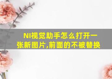 NI视觉助手怎么打开一张新图片,前面的不被替换