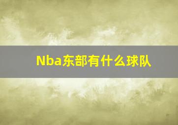 Nba东部有什么球队