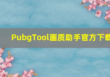 PubgTool画质助手官方下载