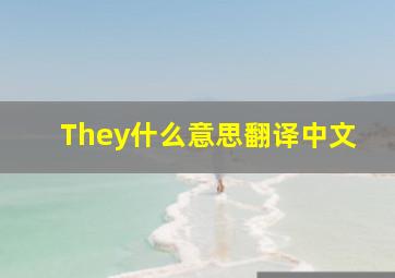 They什么意思翻译中文