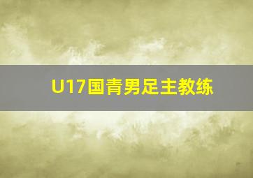 U17国青男足主教练