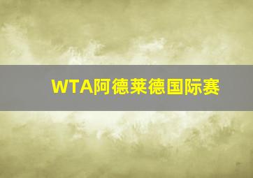 WTA阿德莱德国际赛