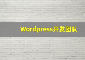 Wordpress开发团队