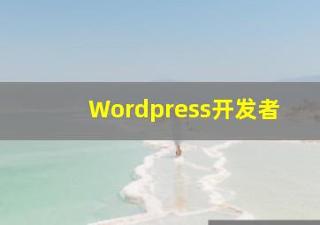 Wordpress开发者