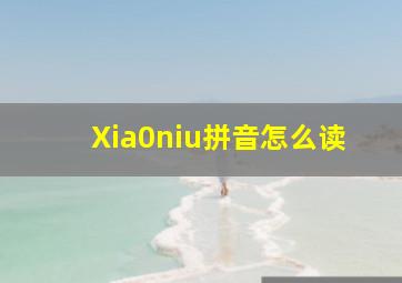 Xia0niu拼音怎么读