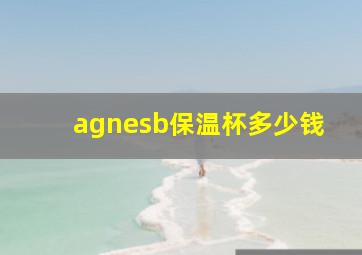 agnesb保温杯多少钱