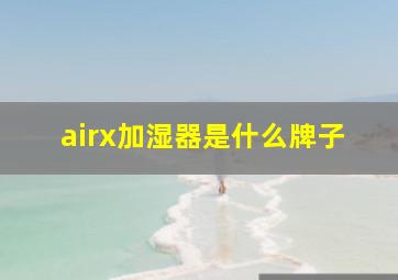 airx加湿器是什么牌子