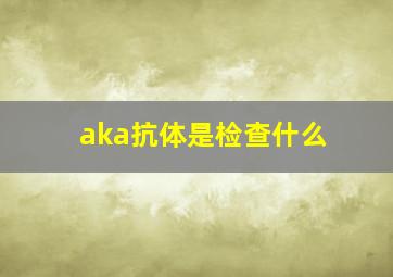 aka抗体是检查什么