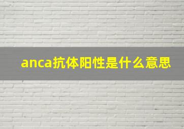 anca抗体阳性是什么意思