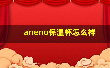 aneno保温杯怎么样