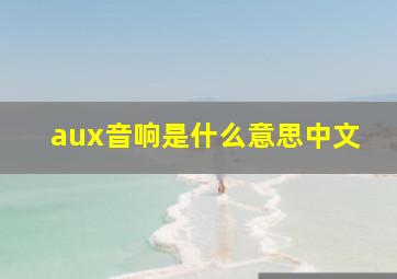 aux音响是什么意思中文