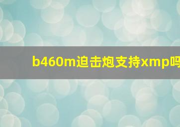 b460m迫击炮支持xmp吗