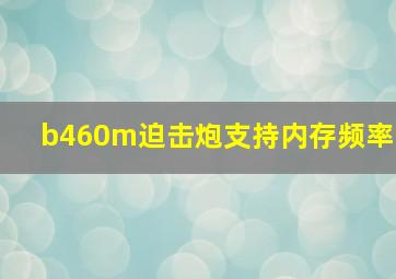 b460m迫击炮支持内存频率