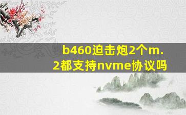 b460迫击炮2个m.2都支持nvme协议吗