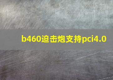 b460迫击炮支持pci4.0