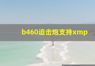 b460迫击炮支持xmp