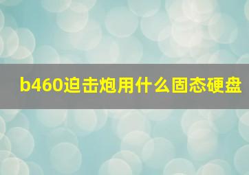 b460迫击炮用什么固态硬盘