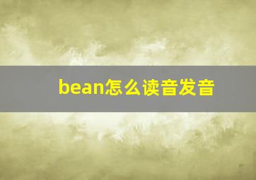 bean怎么读音发音