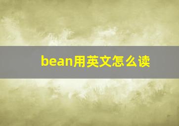 bean用英文怎么读