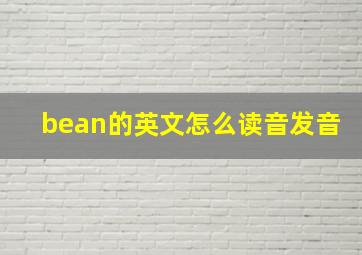 bean的英文怎么读音发音