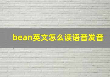 bean英文怎么读语音发音