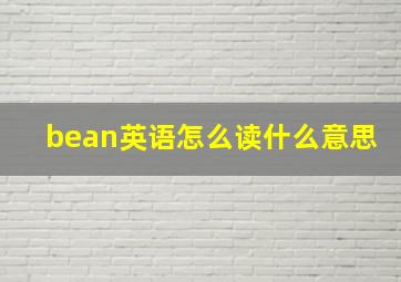 bean英语怎么读什么意思