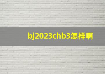 bj2023chb3怎样啊