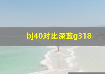 bj40对比深蓝g318