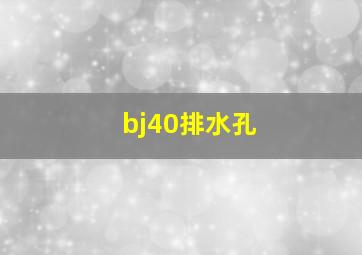 bj40排水孔