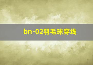 bn-02羽毛球穿线