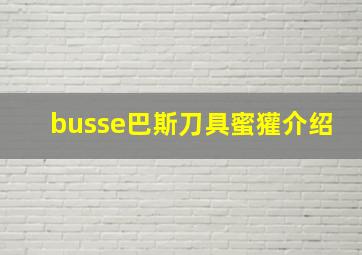 busse巴斯刀具蜜獾介绍