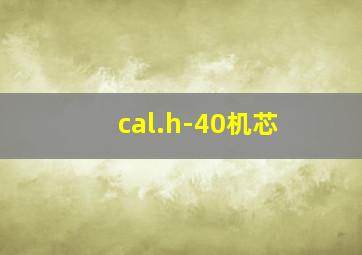 cal.h-40机芯