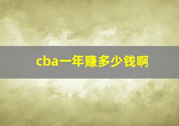 cba一年赚多少钱啊