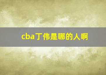 cba丁伟是哪的人啊