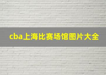 cba上海比赛场馆图片大全