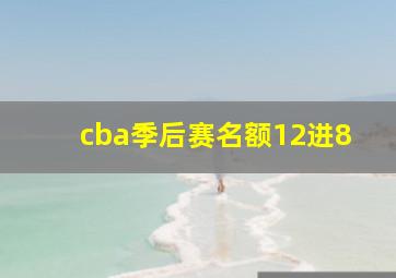 cba季后赛名额12进8