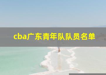 cba广东青年队队员名单