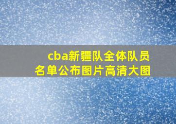 cba新疆队全体队员名单公布图片高清大图