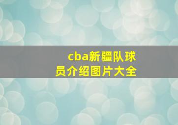 cba新疆队球员介绍图片大全