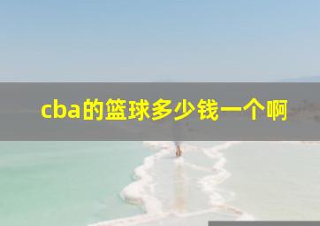 cba的篮球多少钱一个啊